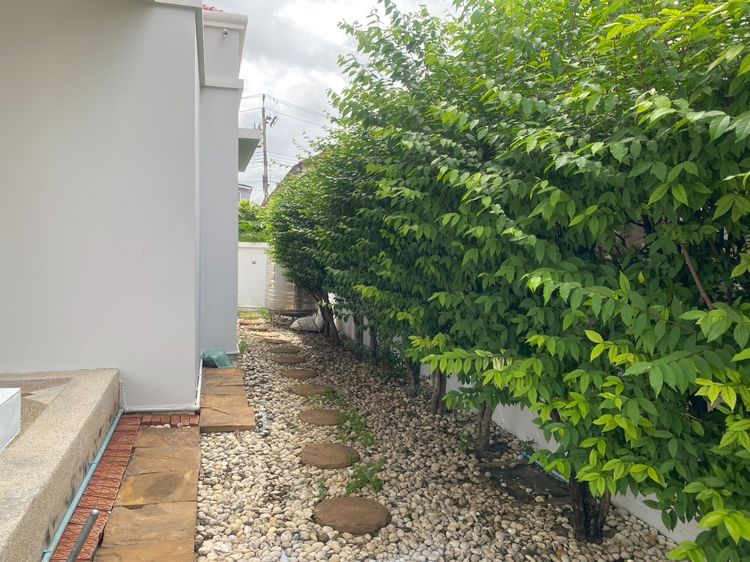 Property Perfect ไม่มี 2016 ID 1833 ขายบ้าน เพอร์เฟคเพลส รามคำแหง164 รูปที่ 4