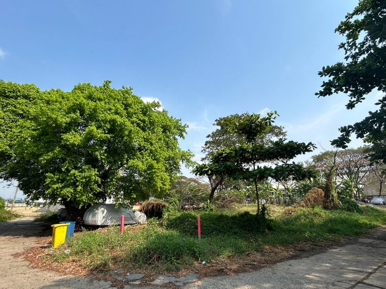 ที่ดินเปล่า 332 ตร.ว. ประเวศ อ่อนนุช55-1 ใกล้รถไฟฟ้าสายสีเหลือง รูปที่ 2