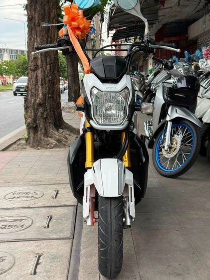 ZoomerX ปี59 ชุดสีสวย รถบ้านมือเดียว รูปที่ 8