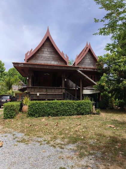 มีบางส่วน ใช่ 🌹ขายบ้านเรือนไทยพร้อมที่ดิน อ.เมือง จ.นครราชสีมา📢 รูปที่ 3