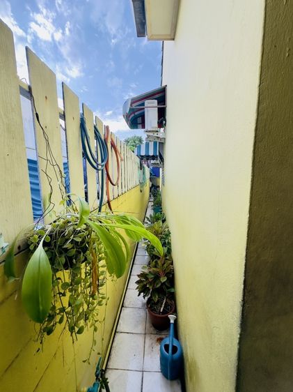 ไม่มี บ้านชั้นเดียว รูปที่ 4