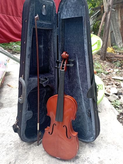 ไวโอลิน🎻 รูปที่ 2