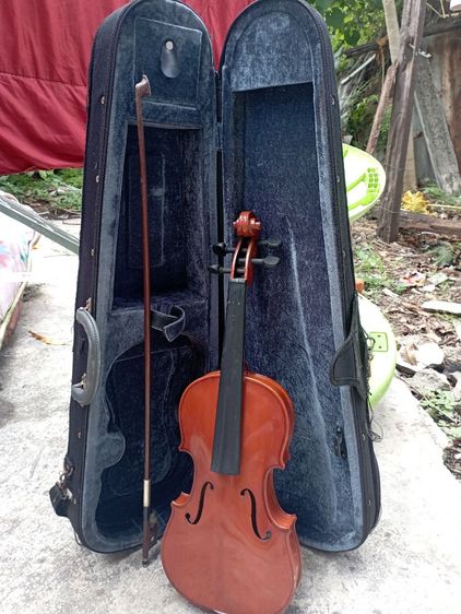 ไวโอลิน🎻