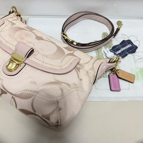 coach รูปที่ 8