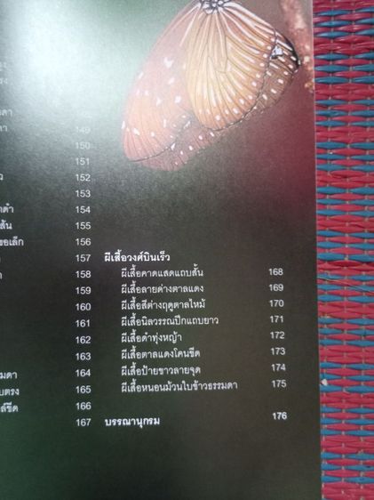 หนังสือผีเสื้อและนกในไทย รูปที่ 12