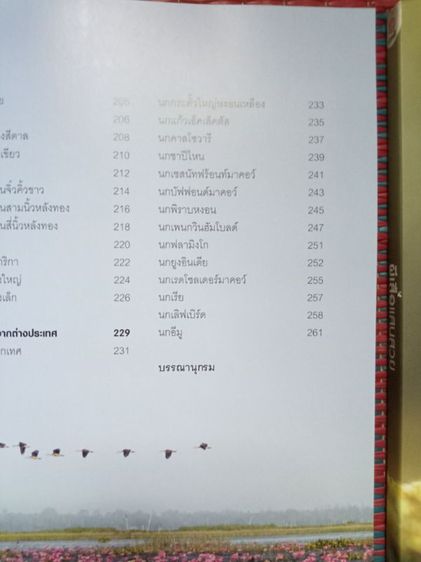 หนังสือผีเสื้อและนกในไทย รูปที่ 4