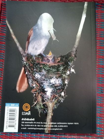 หนังสือผีเสื้อและนกในไทย รูปที่ 9