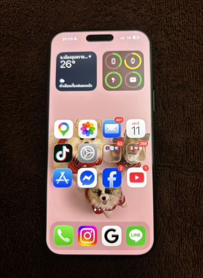 iPhone 16 pro max