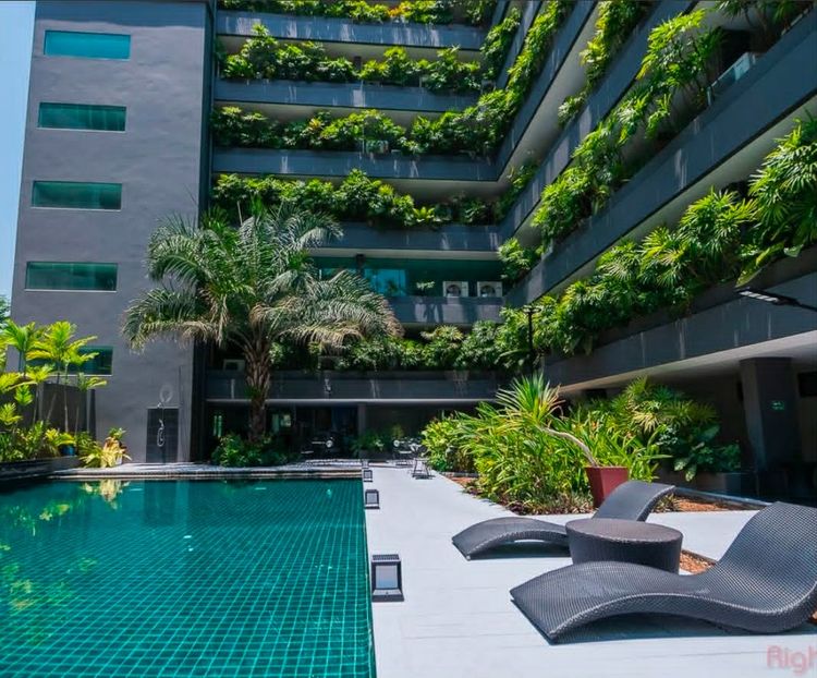 ไม่อนุญาต ตกแต่งครบ 2010 ทรอปิคานา คอนโด  Tropicana Condo รูปที่ 4