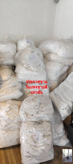 อุปกรณ์เครื่องนอนอื่นๆ ผ้าฝ้าย ประกาศขาย  ปลอกนวมใหญ่  ผ้าเช็ดตัว ผ้าเช็ดผม  หมอน ของโรงแรมมือสอง