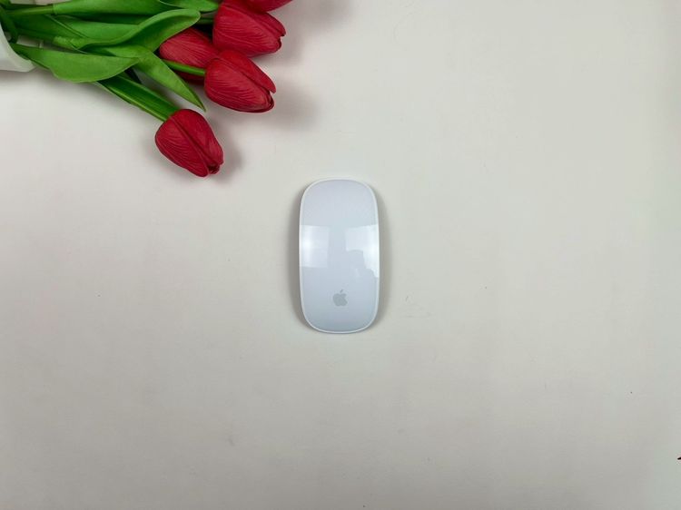 Apple Magic Mouse2 (USB-C) 