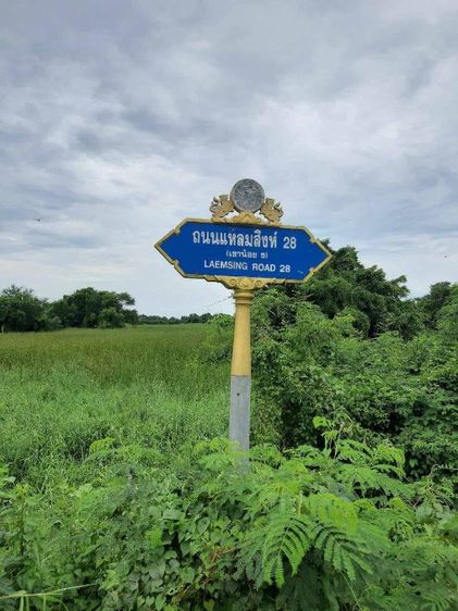 ใช่ ขายที่ดินจังหวัดจันทบุรีแหลมสิงห์ รูปที่ 4