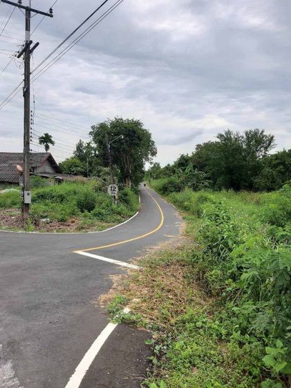 ใช่ ขายที่ดินจังหวัดจันทบุรีแหลมสิงห์ รูปที่ 3