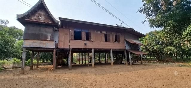 อื่นๆ ไม่มี 2024 ขายบ้านสวนริมน้ำ จังหวัดพระนครศรีอยุธยา บ้านไม้เรือนไทย บนที่ดินแปลงสวย 315 ตารางวา ติดคลอง ใกล้แม่น้ำเจ้าพระยา รูปที่ 2