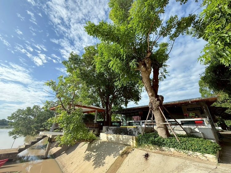 อื่นๆ ตกแต่งครบ 2014 ใช่ ขาย pool villa หรู 7 ไร่ ติดแม่น้ำท่าจีน รูปที่ 4