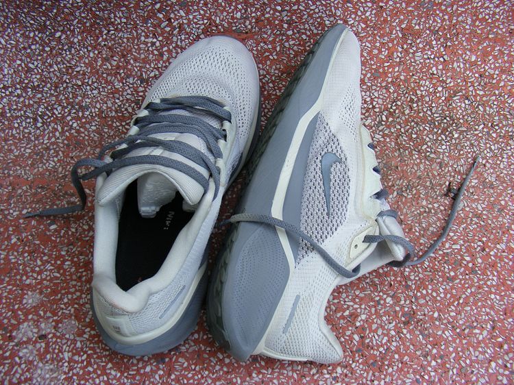 รองเท้ากีฬา Nike Ari Zoom Pegasus 41 รูปที่ 6