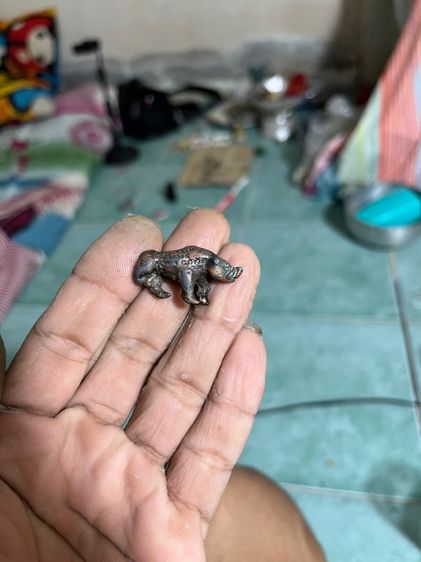 พญาหมูมหาลาภเขี้ยวตัน (หรือ หมูทองแดง) หลวงปู่เส็ง วัดบางนา จ.ปทุมธานี รุ่นแรก ปี 2521 รูปที่ 3