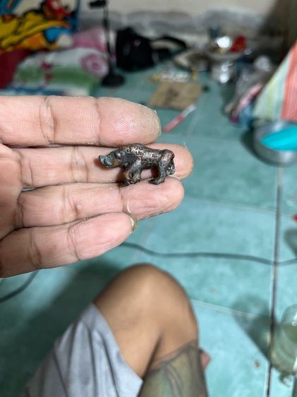 พญาหมูมหาลาภเขี้ยวตัน (หรือ หมูทองแดง) หลวงปู่เส็ง วัดบางนา จ.ปทุมธานี รุ่นแรก ปี 2521