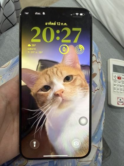 256 GB IPhone 15 ProMax