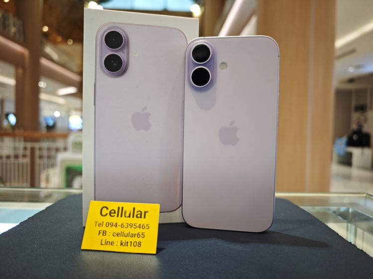 256 GB iPhone 17 256GB Batt100 สภาพสวยมาก ประกันศูนย์3เดือนกว่า ครบกล่อง