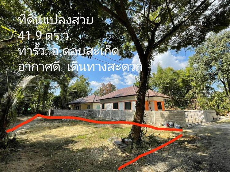 ใช่ ♨️ขายด่วน..ที่ดินโซนชุมชนท่ารั้ว ดอยสะเก็ด เชียงใหม่ รูปที่ 2