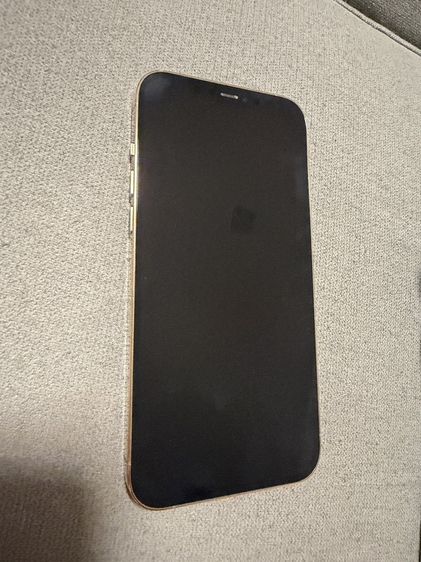 iPhone12 Pro Max 256GB
