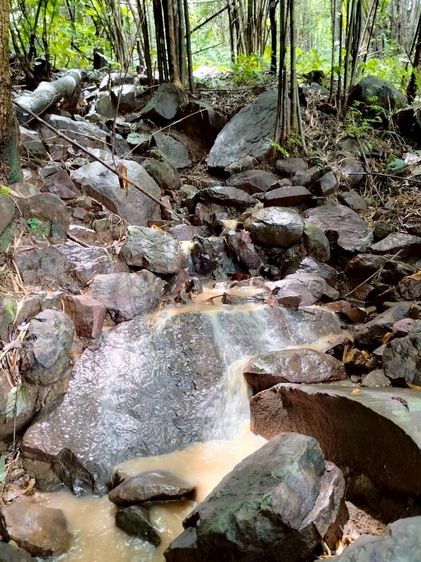 Peaceful mountain property close to Phu Tap Buk