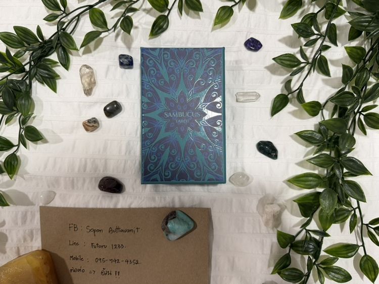 ✨ ขาย Sambucus Tarot (ของแท้ไม่ใช่งานพิมพ์)✨