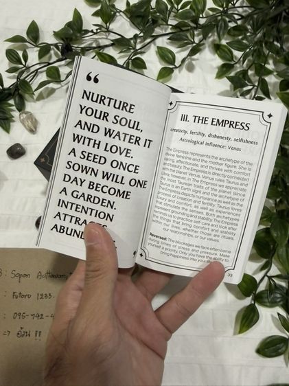 🔮 ปล่อยต่อ Fortuna Tarot Deck (สีเขียว) 🔮 รูปที่ 4