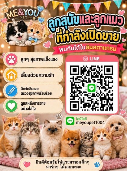 ลูกแมว รูปที่ 14