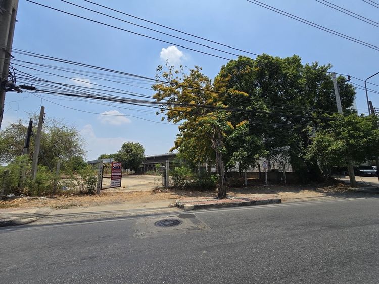 ขายที่ดินใจกลางดอนเมือง ติดถนนวิภาวดี–รังสิต เนื้อที่ 1,009 ตร.ว. รูปที่ 4