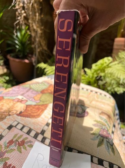 หนังสือSERENGETI รูปที่ 3