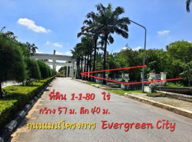 《ยินดีรับนายหน้า》ขายที่ดิน 274 ตร.ว โครงการ เอเวอร์กรีน ซิตี้ ใกล้รถไฟฟ้าMRTหลักสอง เดอะมอลล์บางแค รูปที่ 4