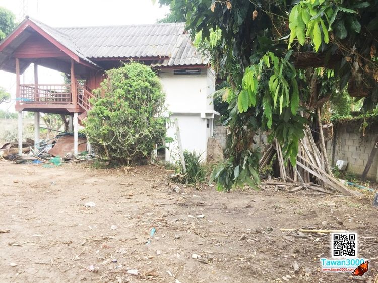 (1ไร่29ตรว.)ที่ดินพร้อมบ้านพัก น้ำ-ไฟพร้อม ตรว.ละ 12,000 รูปที่ 4