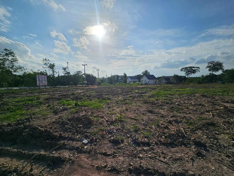 ขายที่ดินเปล่า จำนวน 2 แปลง ด้านซ้าย 700 ตร.ว.  รูปที่ 3