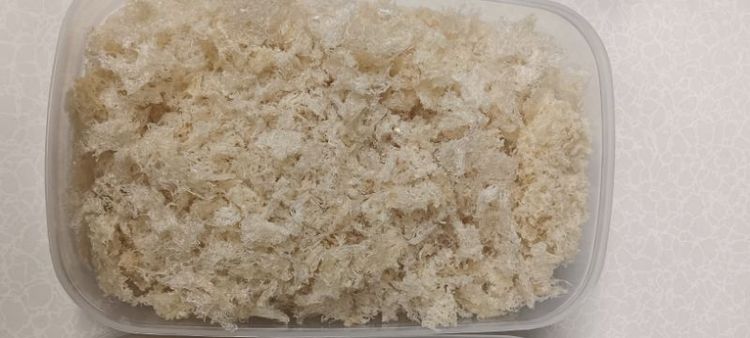 ขายรังนกนางแอ่นทำความสะอาดแล้ว