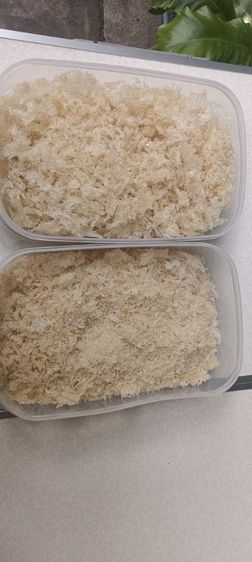 ขายรังนกนางแอ่นทำความสะอาดแล้ว รูปที่ 3