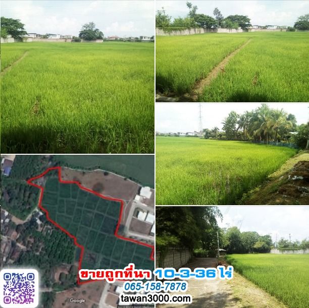 ขายถูกที่นา 10ไร่ 3งาน 36ตรว. บรรยากาศดี เงียบสงบ ติดกุลพันธ์วิลล์9 กาดฝรั่ง (ตรว.ละ 6,000) รูปที่ 2