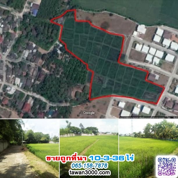 ขายถูกที่นา 10ไร่ 3งาน 36ตรว. บรรยากาศดี เงียบสงบ ติดกุลพันธ์วิลล์9 กาดฝรั่ง (ตรว.ละ 6,000) รูปที่ 3