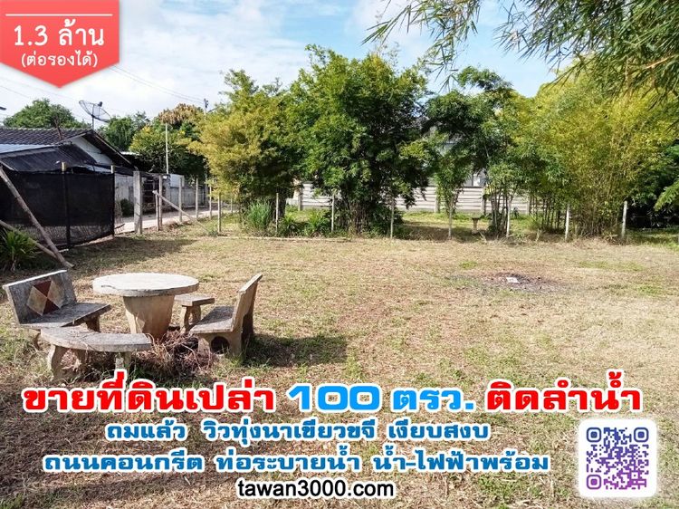ขาย100 ตรว. ที่ดินเปล่า ถมแล้ว มี 2 แปลง ติดลำน้ำ วิวทุ่งนา พร้อมโอนจ้าๆๆ รูปที่ 3