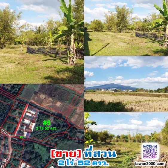 ขาย2ไร่52ตรว. ที่สวน กว้างขวาง บรรยากาศดี วิวดอยสุเทพ-ทุ่งนา ติดลำน้ำ พร้อมโอนจ้าๆๆ รูปที่ 2