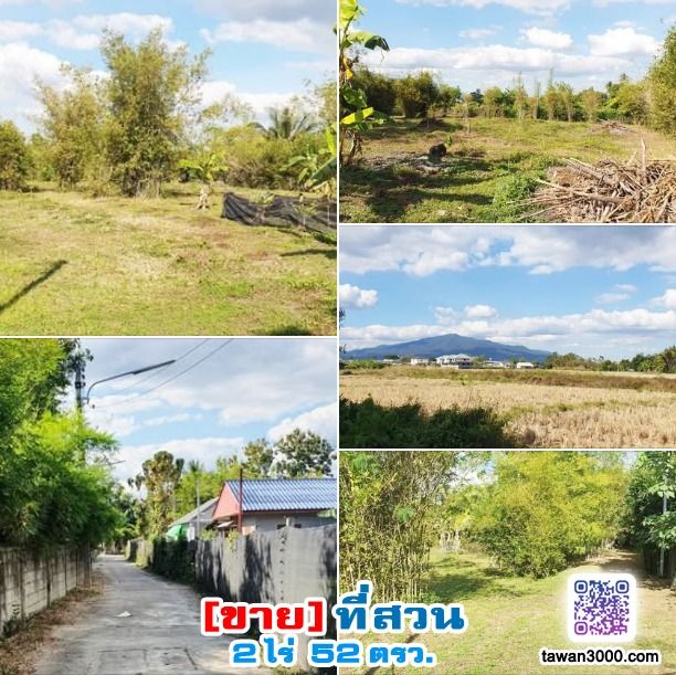 ขาย2ไร่52ตรว. ที่สวน กว้างขวาง บรรยากาศดี วิวดอยสุเทพ-ทุ่งนา ติดลำน้ำ พร้อมโอนจ้าๆๆ