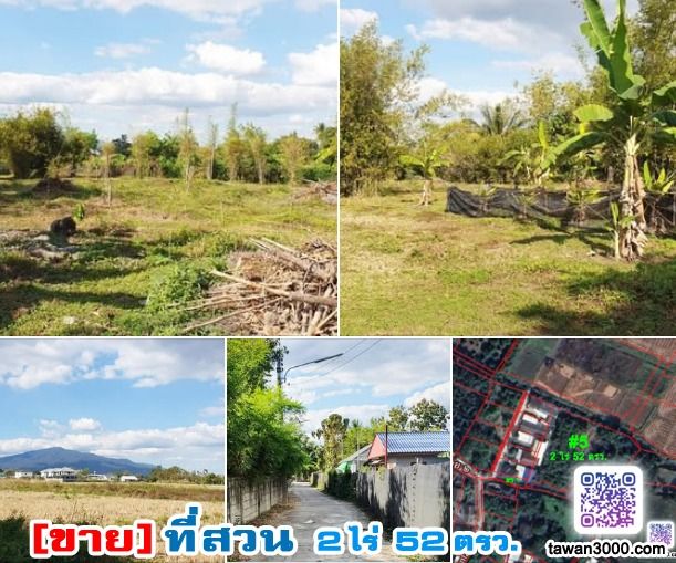 ขาย2ไร่52ตรว. ที่สวน กว้างขวาง บรรยากาศดี วิวดอยสุเทพ-ทุ่งนา ติดลำน้ำ พร้อมโอนจ้าๆๆ รูปที่ 4
