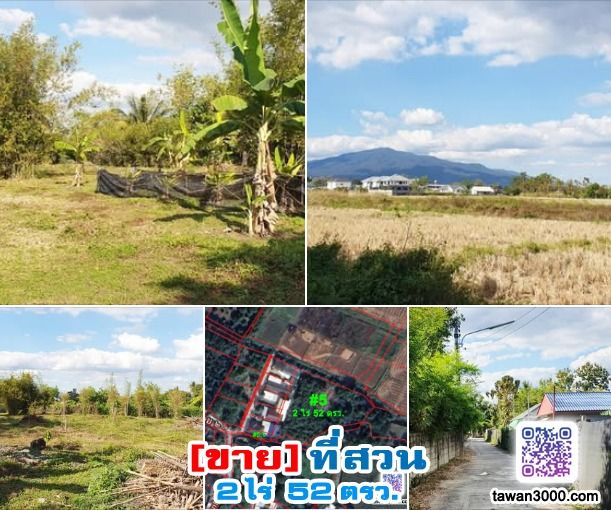 ขาย2ไร่52ตรว. ที่สวน กว้างขวาง บรรยากาศดี วิวดอยสุเทพ-ทุ่งนา ติดลำน้ำ พร้อมโอนจ้าๆๆ รูปที่ 3