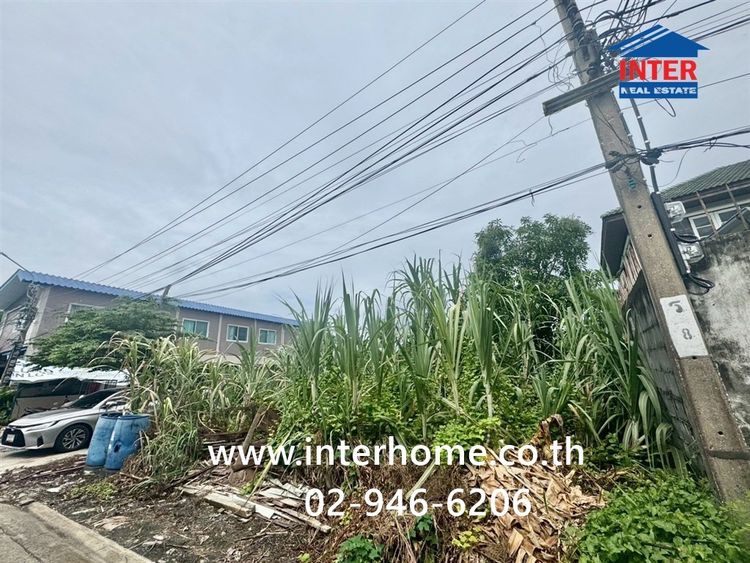ที่ดินเปล่า 83.3 ตร.ว. ที่ดินเปล่า ซอยสุขสวัสดิ์102 ถนนสุขสวัสดิ์ (ซอยร่มเย็นนิเวศน์) ถนนซอยสุขสวัสดิ์102 พระสมุทรเจดีย์ สมุทรปราการ รูปที่ 2