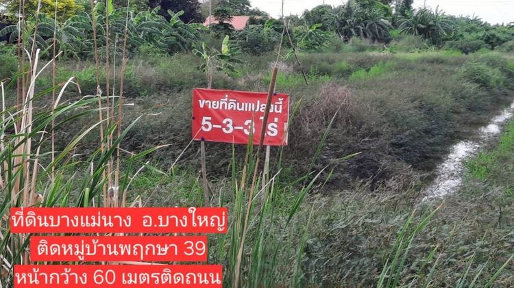 ขายที่ดินเปล่า ต.บางแม่นาง อบางใหญ่ จ.นนทบุรี