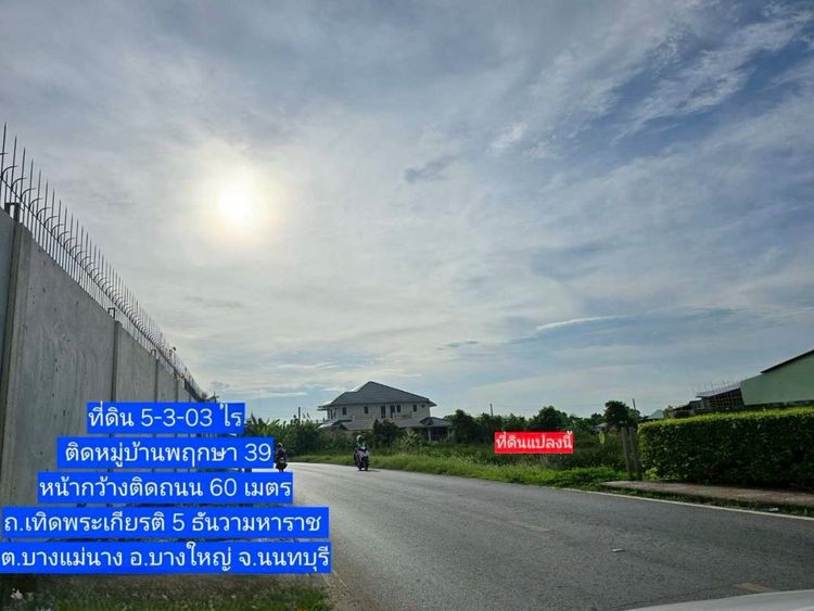 ขายที่ดินเปล่า ต.บางแม่นาง อบางใหญ่ จ.นนทบุรี รูปที่ 3