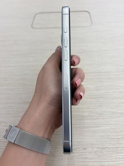 16 pro max 256GB รูปที่ 3