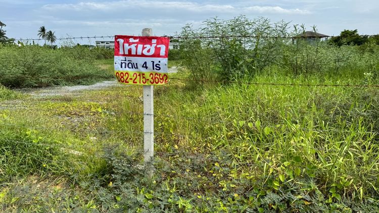 ให้เช่าที่ดิน 4 ไร่ ถนนพุทธมณฑลสาย 2 ซอย 19  เข้าไปประมาณ 1500 เมตร  รูปที่ 4