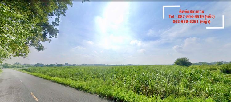 ด่วน เจ้าของขายที่ดิน 106 ไร่ หนองชาก-บ้านบึง ใกล้ถนน 331 ชลบุรี ราคาดีที่สุดในย่านนี้ รูปที่ 4